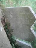 image of grave number 261578